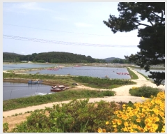  2023Ÿ��54035  �������