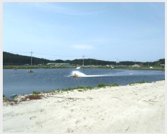  2023Ÿ��54035  �������