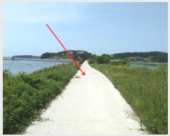  2023Ÿ��54035  �������