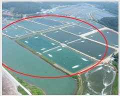  2023Ÿ��54035  �������