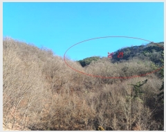  2023Ÿ��10542 ��� ���� ���θ� ��õ�� ��17-1      ����(�Ӿ�)���