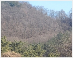  2023Ÿ��10542 ��� ���� ���θ� ��õ�� ��17-1      ����(�Ӿ�)���