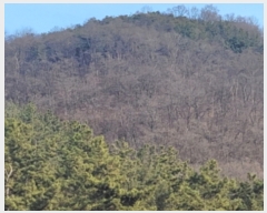  2023Ÿ��10542 ��� ���� ���θ� ��õ�� ��17-1      ����(�Ӿ�)���