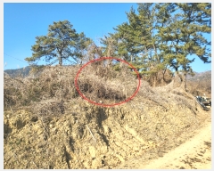  2023Ÿ120814  ĥ  򺹸 385      (1)