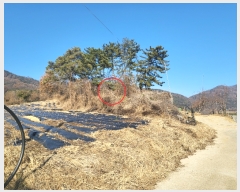  2023Ÿ120814  ĥ  򺹸 385      (1)