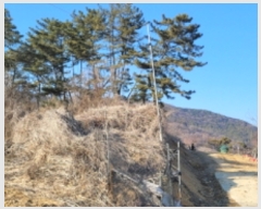  2023Ÿ120814  ĥ  򺹸 385      (1)