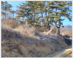  2023Ÿ120814  ĥ  򺹸 385      (1)