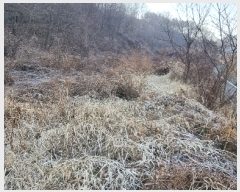  2023Ÿ��122193 ��� ��õ�� ����� ���ϸ� 508-3      ����(������)���