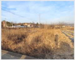  2023Ÿ��122193 ��� ��õ�� ����� ���ϸ� 508-3      ����(������)���