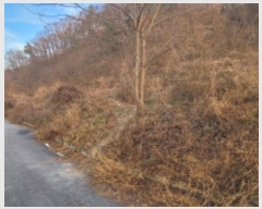  2023Ÿ��122193 ��� ��õ�� ����� ���ϸ� 508-3      ����(������)���