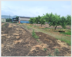  2023Ÿ��122292 ��� ��õ�� �Ӱ��� ��Ÿ� 328      ����(������)���