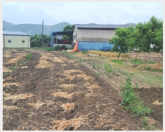  2023Ÿ��122292 ��� ��õ�� �Ӱ��� ��Ÿ� 328      ����(������)���