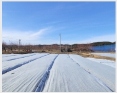  2023Ÿ��122292 ��� ��õ�� �Ӱ��� ��Ÿ� 328      ����(������)���