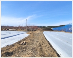  2023Ÿ��122292 ��� ��õ�� �Ӱ��� ��Ÿ� 328      ����(������)���