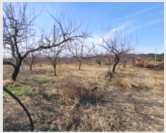  2023Ÿ��122292 ��� ��õ�� �Ӱ��� ��Ÿ� 328      ����(������)���