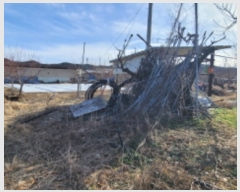  2023Ÿ��122292 ��� ��õ�� �Ӱ��� ��Ÿ� 328      ����(������)���