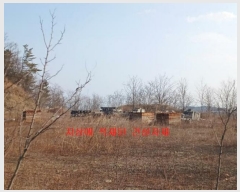  2023Ÿ��100476 ��� ���� ���̸� �ڻ縮 ��5      ����(�Ӿ�)���