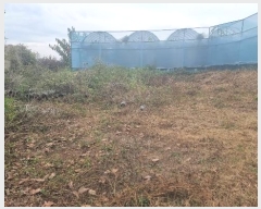  2023Ÿ��8228 ��� ��õ�� ����� �θ� 361      ����(��)���