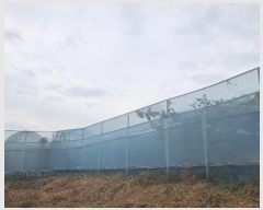  2023Ÿ��8228 ��� ��õ�� ����� �θ� 361      ����(��)���