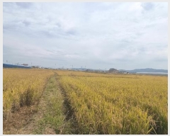  2023Ÿ��8228 ��� ��õ�� ����� �θ� 361      ����(��)���