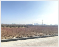  2023Ÿ10566   з ݱ 800-101      ()