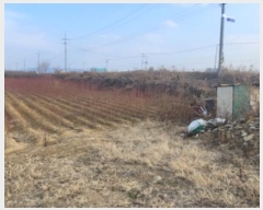  2023Ÿ10566   з ݱ 800-101      ()