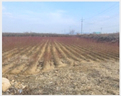  2023Ÿ10566   з ݱ 800-101      ()