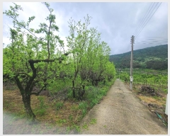  2023Ÿ��11002 ��� û���� ������ ������ 526-2      ����(��)���