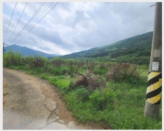  2023Ÿ��11002 ��� û���� ������ ������ 526-2      ����(��)���