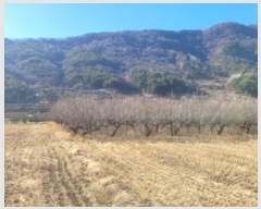  2023Ÿ��11002 ��� û���� ������ ������ 526-2      ����(��)���