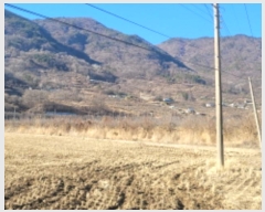  2023Ÿ��11002 ��� û���� ������ ������ 526-2      ����(��)���