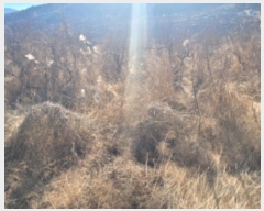  2023Ÿ��11002 ��� û���� ������ ������ 526-2      ����(��)���