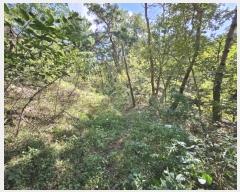  2023Ÿ��114963 ��� ��õ�� û��� ��õ�� ��8-1      ����(�Ӿ�)���