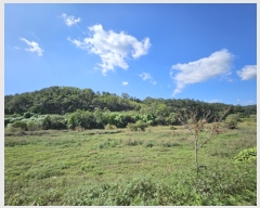  2023Ÿ��114963 ��� ��õ�� û��� ��õ�� ��8-1      ����(�Ӿ�)���