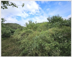  2023Ÿ��114963 ��� ��õ�� û��� ��õ�� ��8-1      ����(�Ӿ�)���