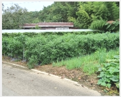  2023Ÿ��6697 ��� ��õ�� ȭ���� �װ 207      ����(��)���