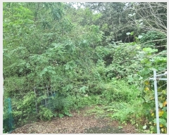  2023Ÿ��6697 ��� ��õ�� ȭ���� �װ 207      ����(��)���