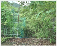  2023Ÿ��6697 ��� ��õ�� ȭ���� �װ 207      ����(��)���