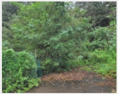  2023Ÿ��6697 ��� ��õ�� ȭ���� �װ 207      ����(��)���