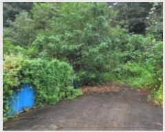  2023Ÿ��6697 ��� ��õ�� ȭ���� �װ 207      ����(��)���