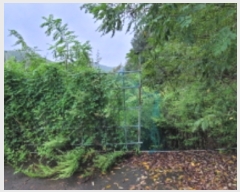  2023Ÿ��6697 ��� ��õ�� ȭ���� �װ 207      ����(��)���