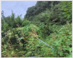  2023Ÿ��6697 ��� ��õ�� ȭ���� �װ 207      ����(��)���