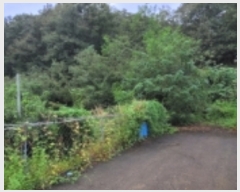  2023Ÿ��6697 ��� ��õ�� ȭ���� �װ 207      ����(��)���