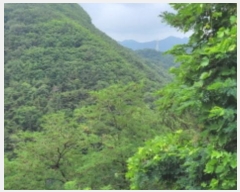  2023Ÿ��4899 ��� ���� �Ͼ��� ��⸮ ��4      ����(�Ӿ�)���