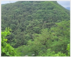  2023Ÿ��4899 ��� ���� �Ͼ��� ��⸮ ��4      ����(�Ӿ�)���