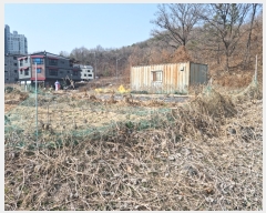  2023Ÿ��326 ��� �ȵ��� ǳõ�� ������ 1232      ����(����)���