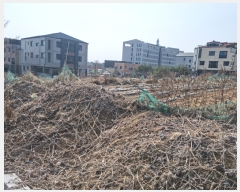  2023Ÿ��326 ��� �ȵ��� ǳõ�� ������ 1232      ����(����)���