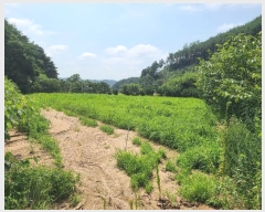  2023Ÿ��975  ���ð��