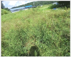  2023Ÿ��1299 ��� �ȵ��� ���ĸ� ���긮 ��170-2      ����(�Ӿ�)���