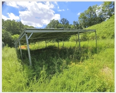  2023Ÿ��1299 ��� �ȵ��� ���ĸ� ���긮 ��170-2      ����(�Ӿ�)���